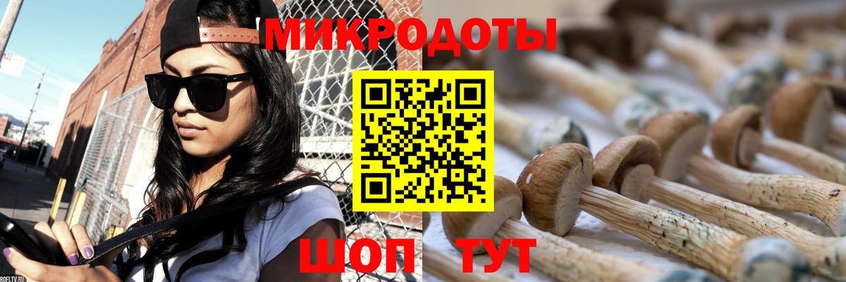 Долгопрудный  Галлюциногенные грибы Cubensis  Псилоцибиновые грибы Cubensis  Вход с VPN 