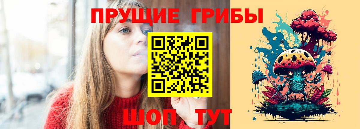 Псилоцибиновые грибы Psilocybine cubensis Долгопрудный